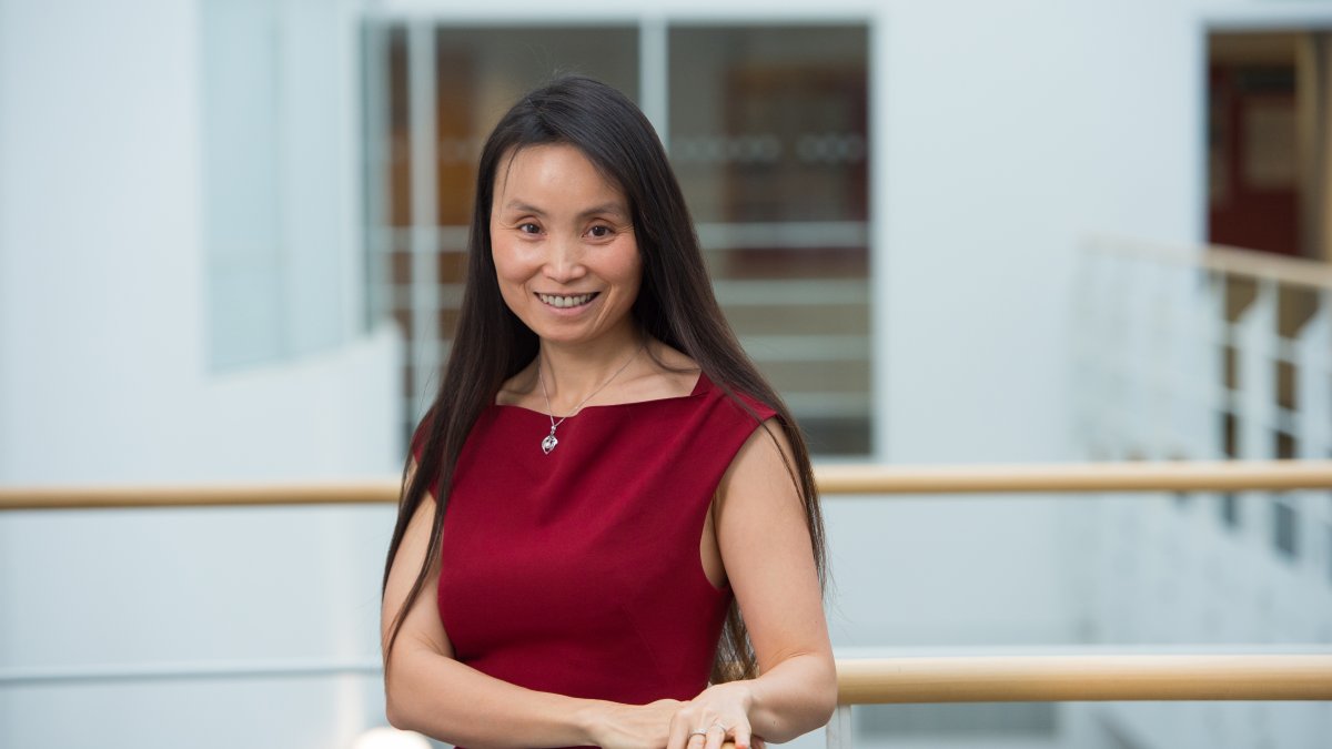 YingFei Heliot