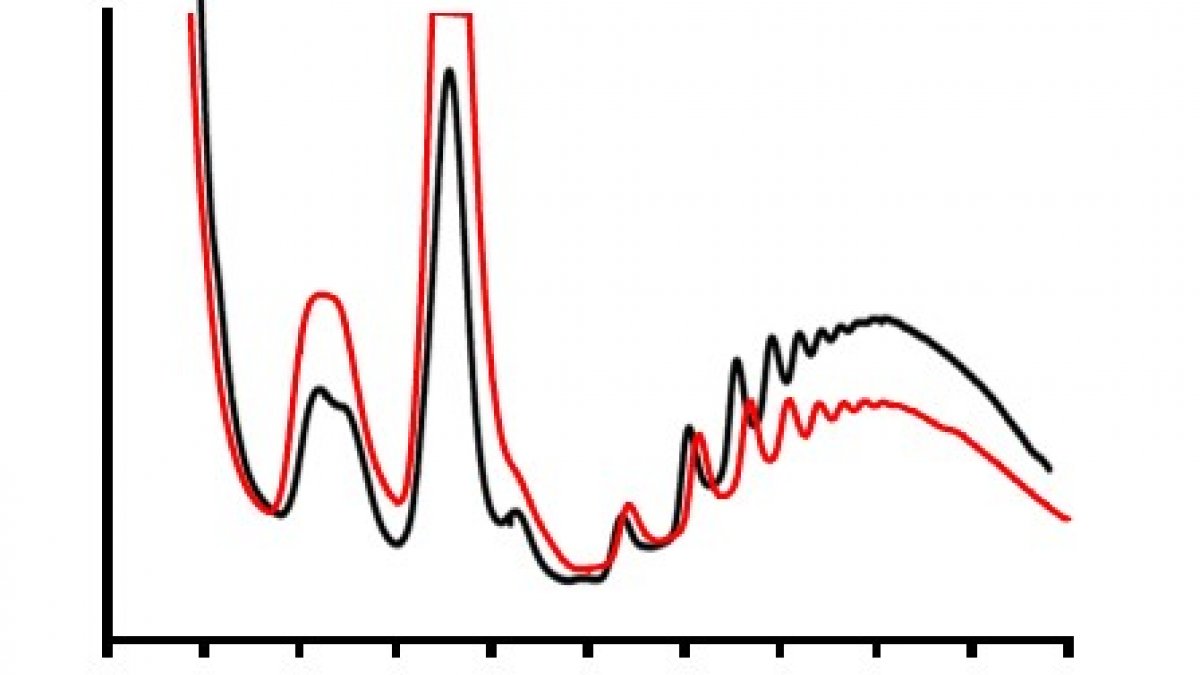 polysome profiling