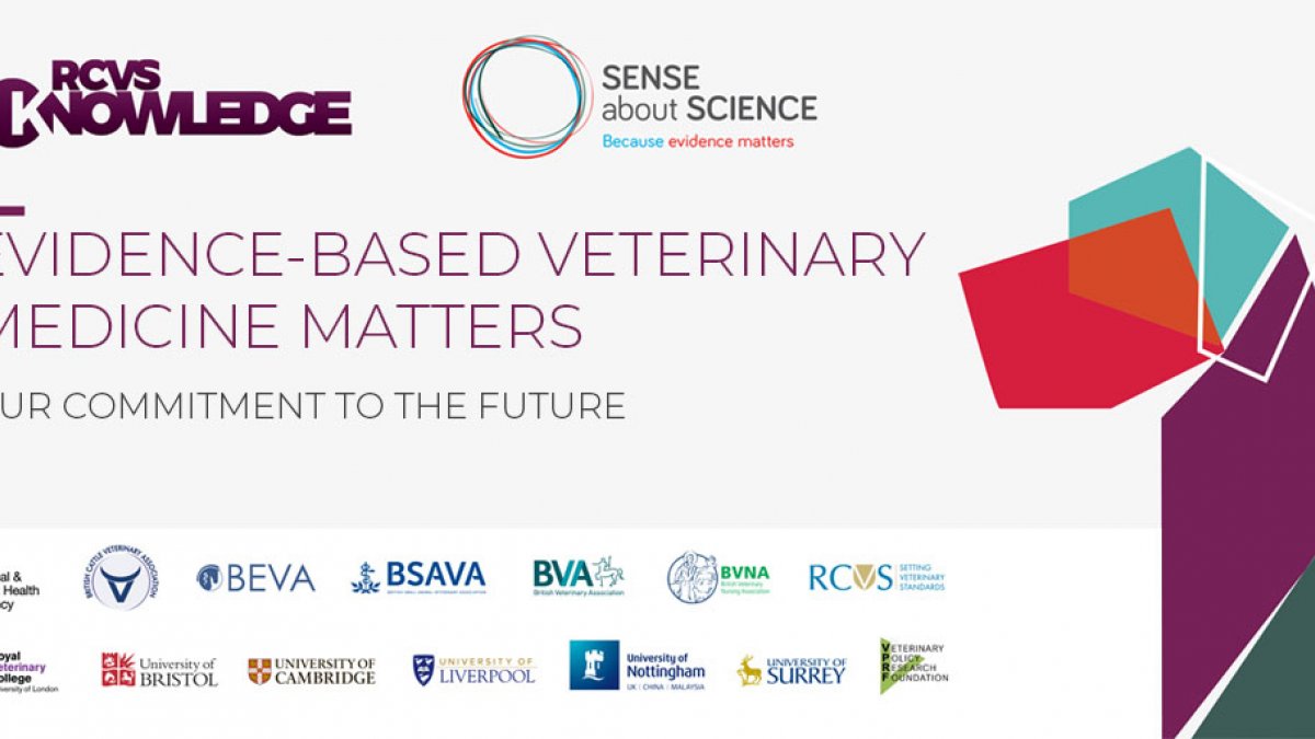 Sense about Science logo