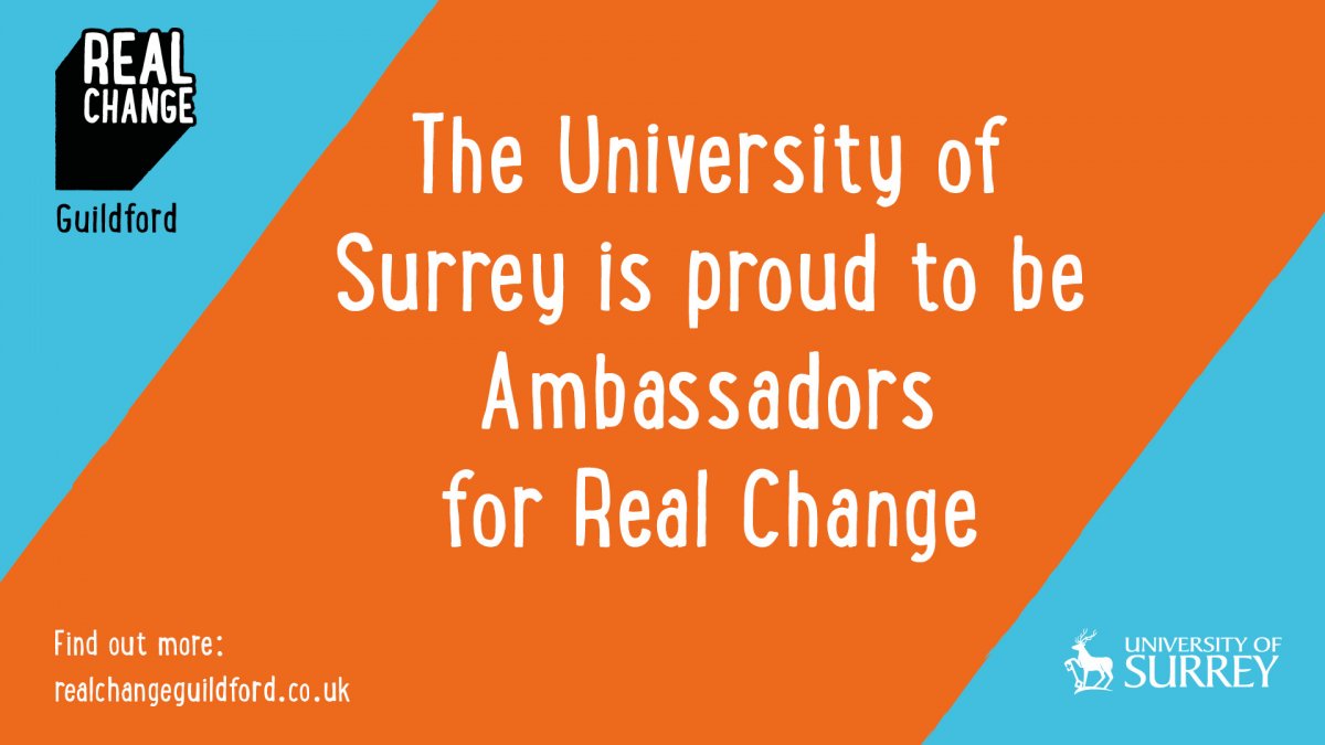 Ambassador Real Change