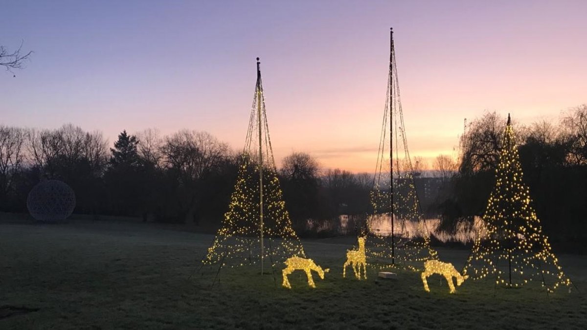 Christmas lights on campus
