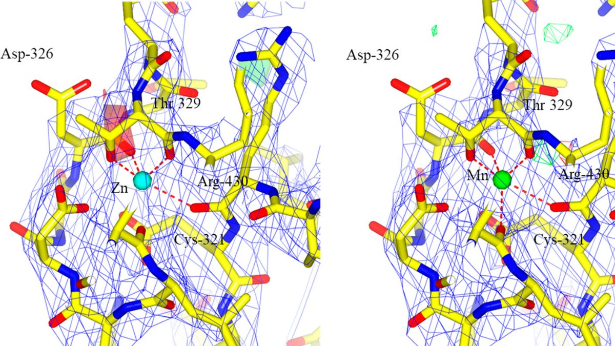 3D_protein_structure
