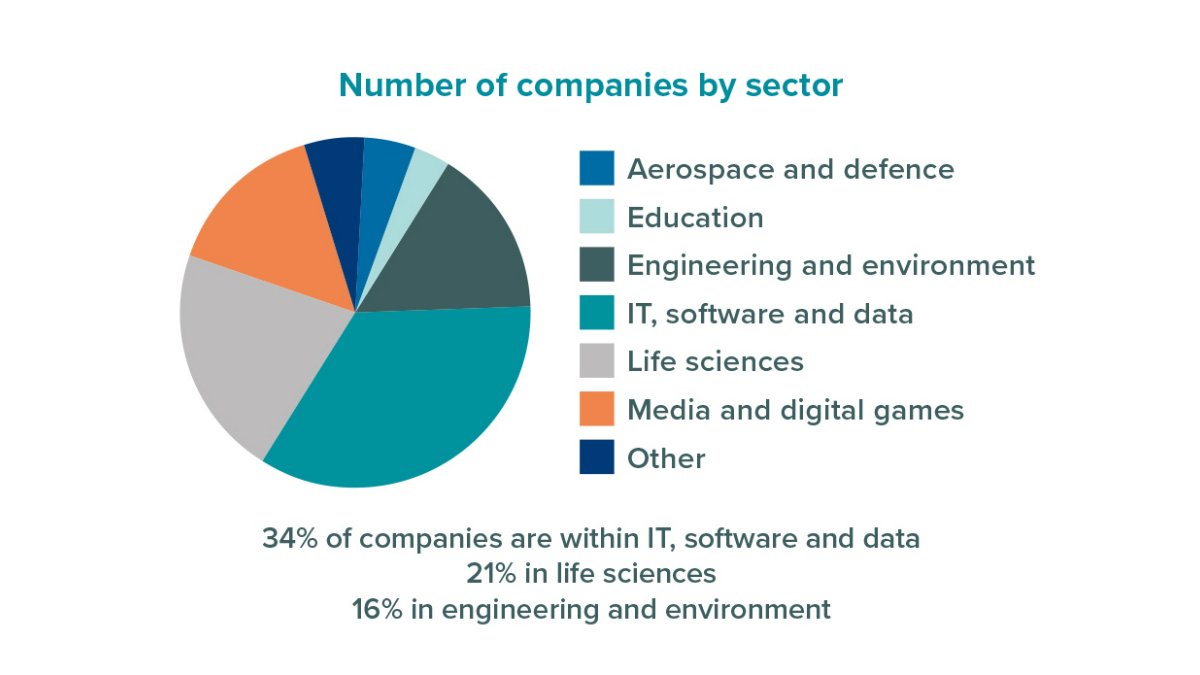 Number of companies at Surrey Research Park by sector