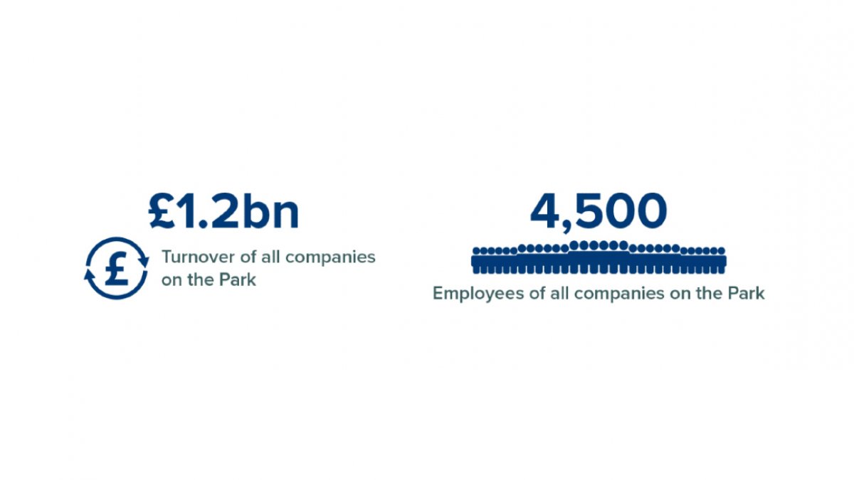Turnover and employees