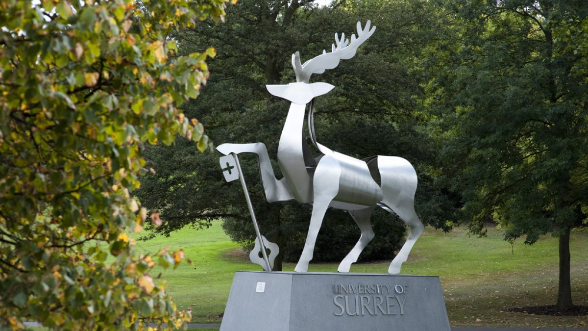 The University of Surrey launches an Emergency Student Support Appeal 