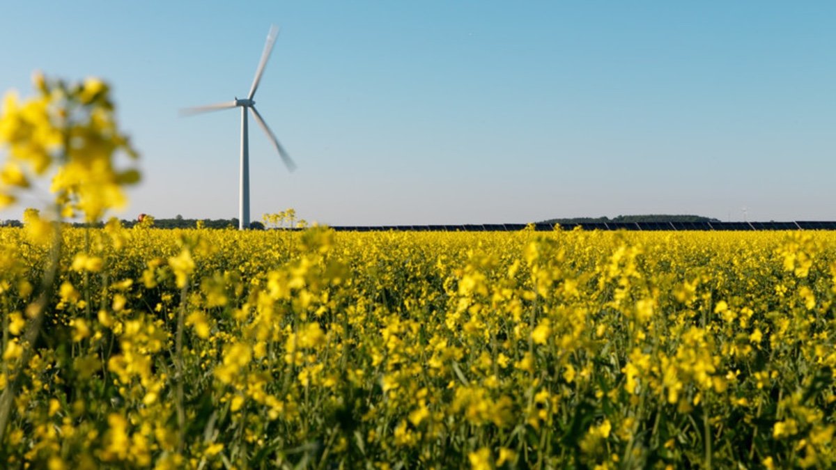 Wind Turbine