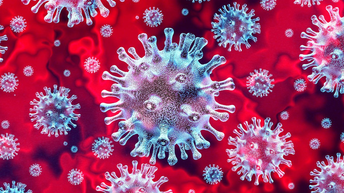 Close up of a virus