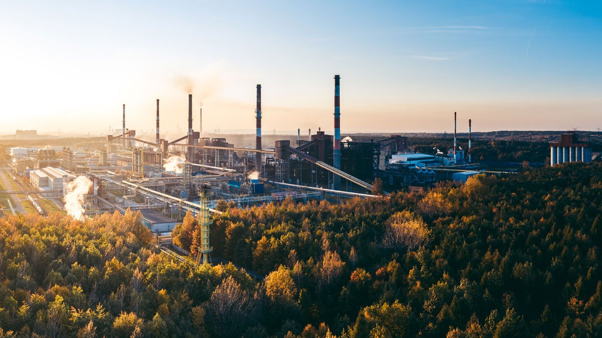 Factory surrounded by trees