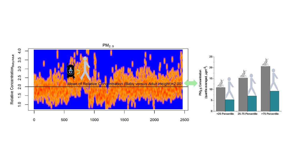 A graph showing the timeseries of relative concentrations at baby versus adult height for PM2.5 combining morning and afternoon concentrations.