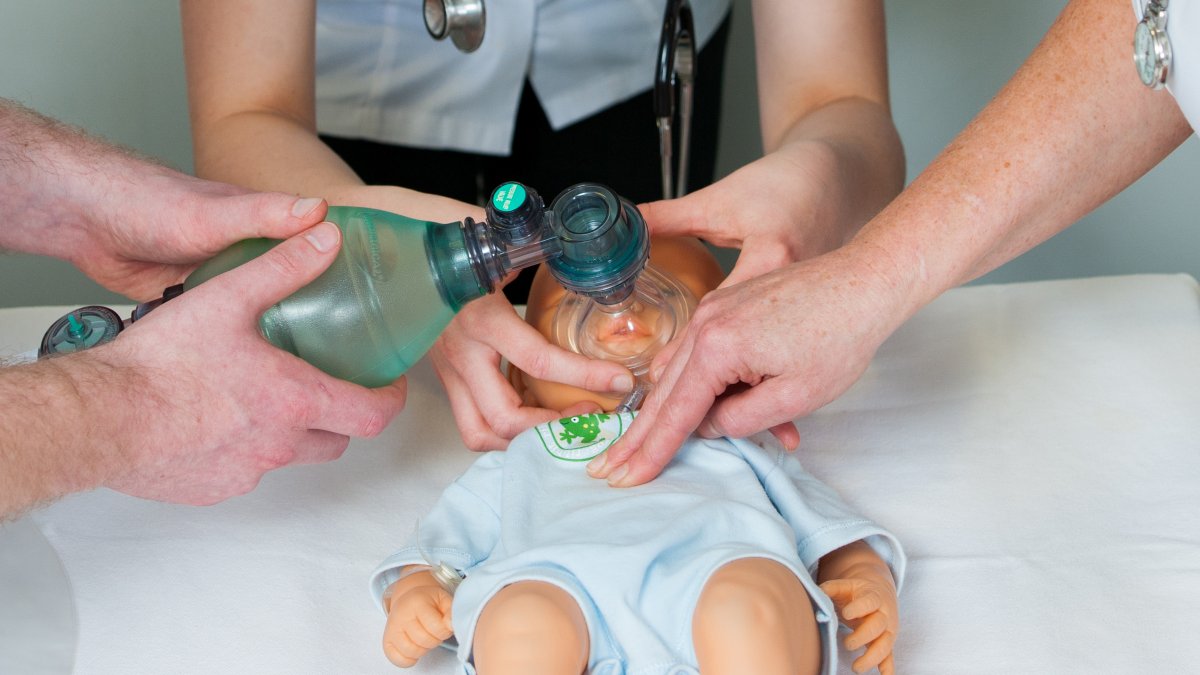 CPR being practised on baby mannequin