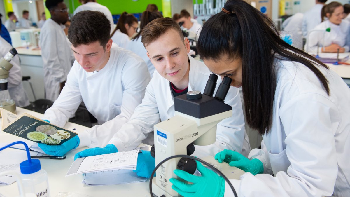 Students using a microscope