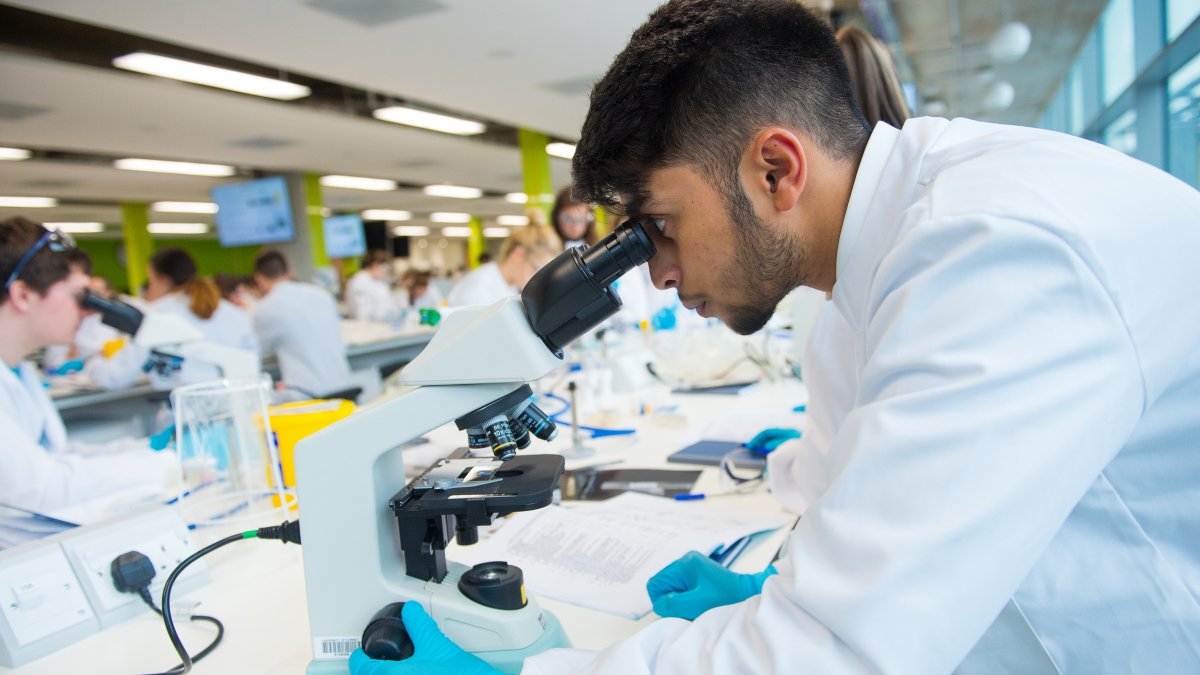 Student using microscope