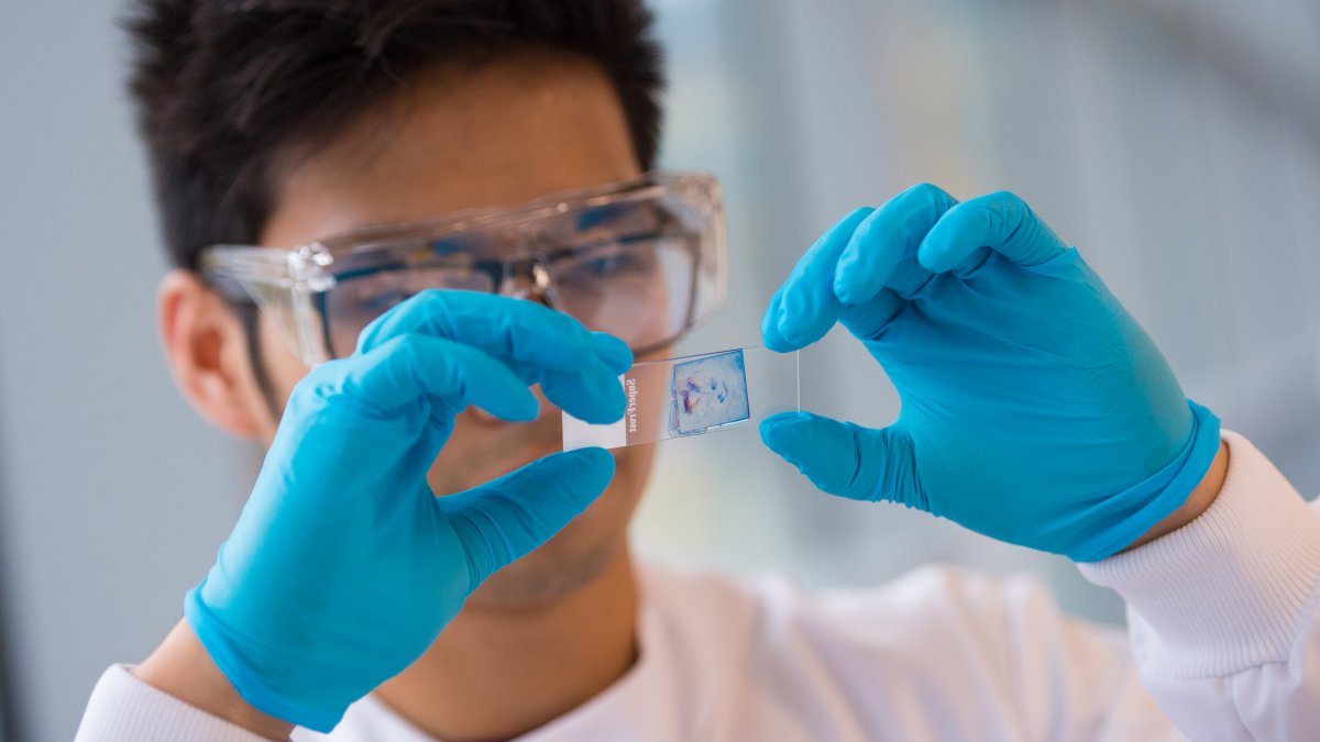 Student looking at sample on glass slide