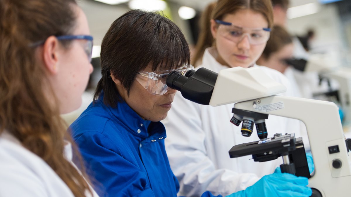 Supervisor using microscope