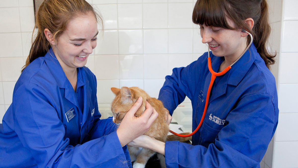 Two students holding a cat