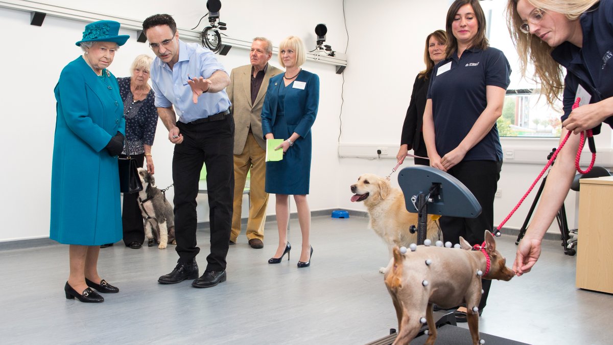 Professor Noel Fitzpatrick showing Her Majesty The Queen a dog