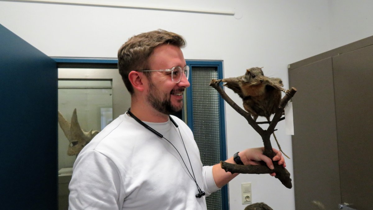 Examining animal morphology at the Naturkundemuseum Stuttgart