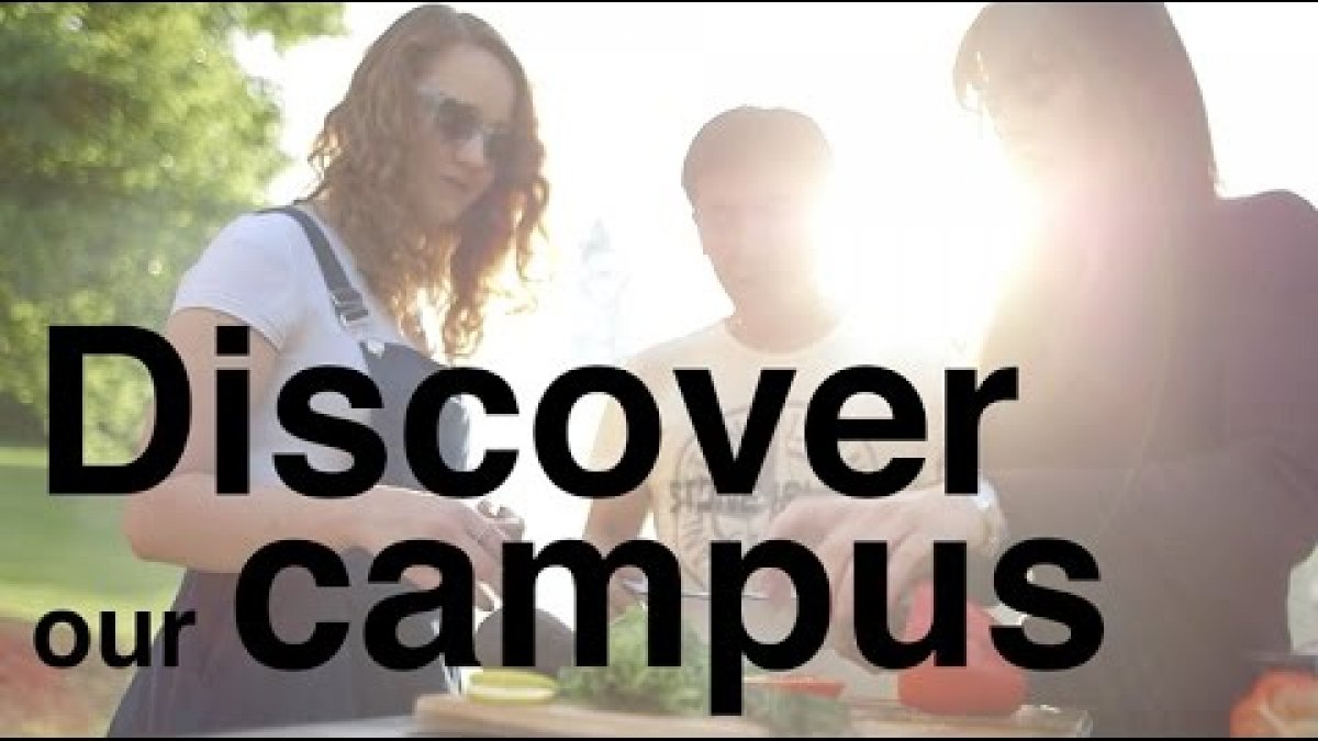 Three students in the park on campus in bright sunshine.