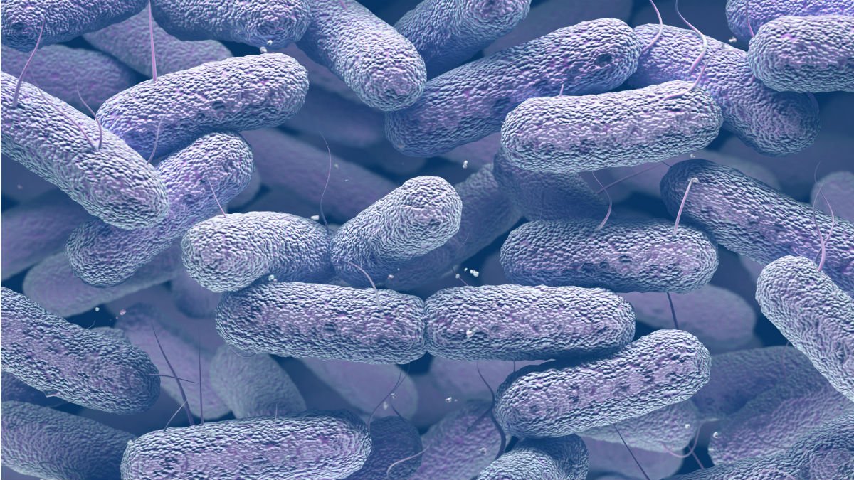 Close up of a virus