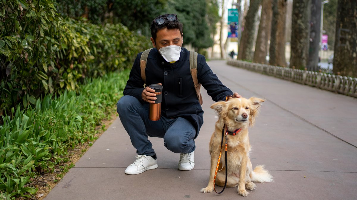 Man crouching down, stroking his dog.