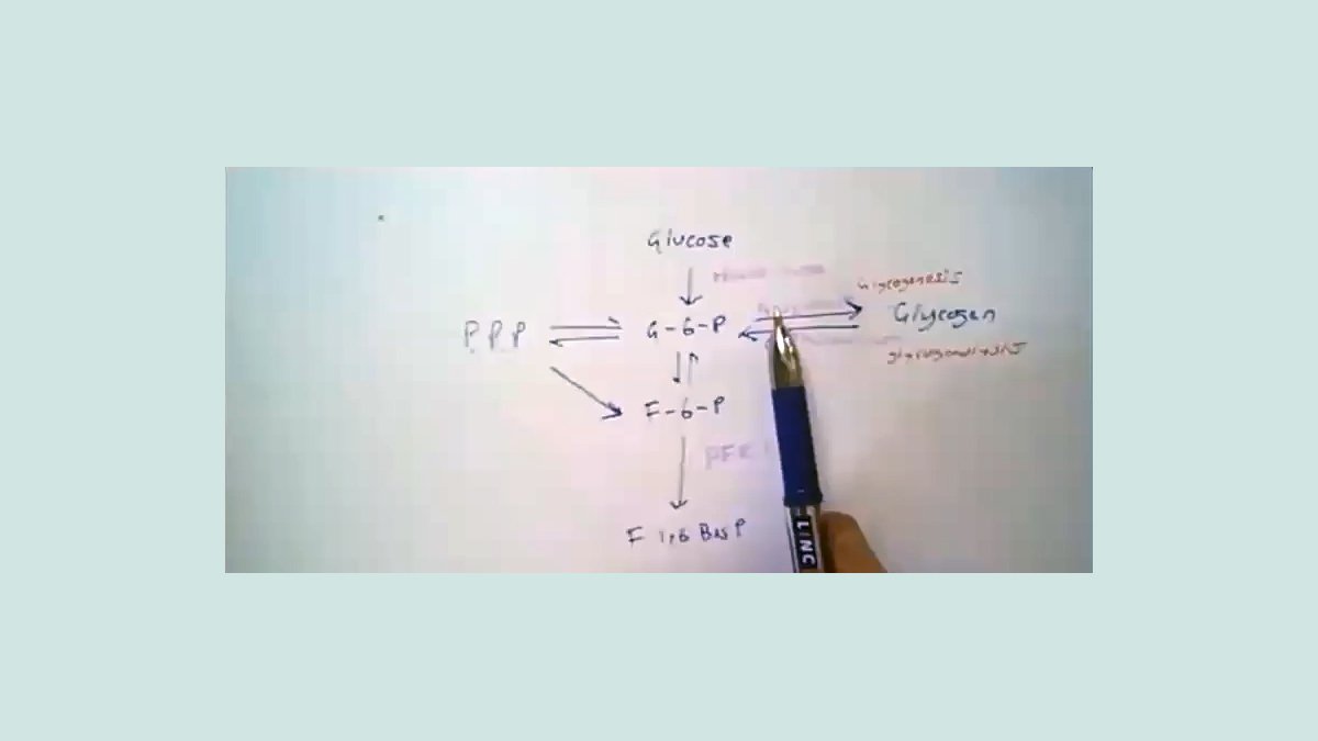 Chemical process diagram