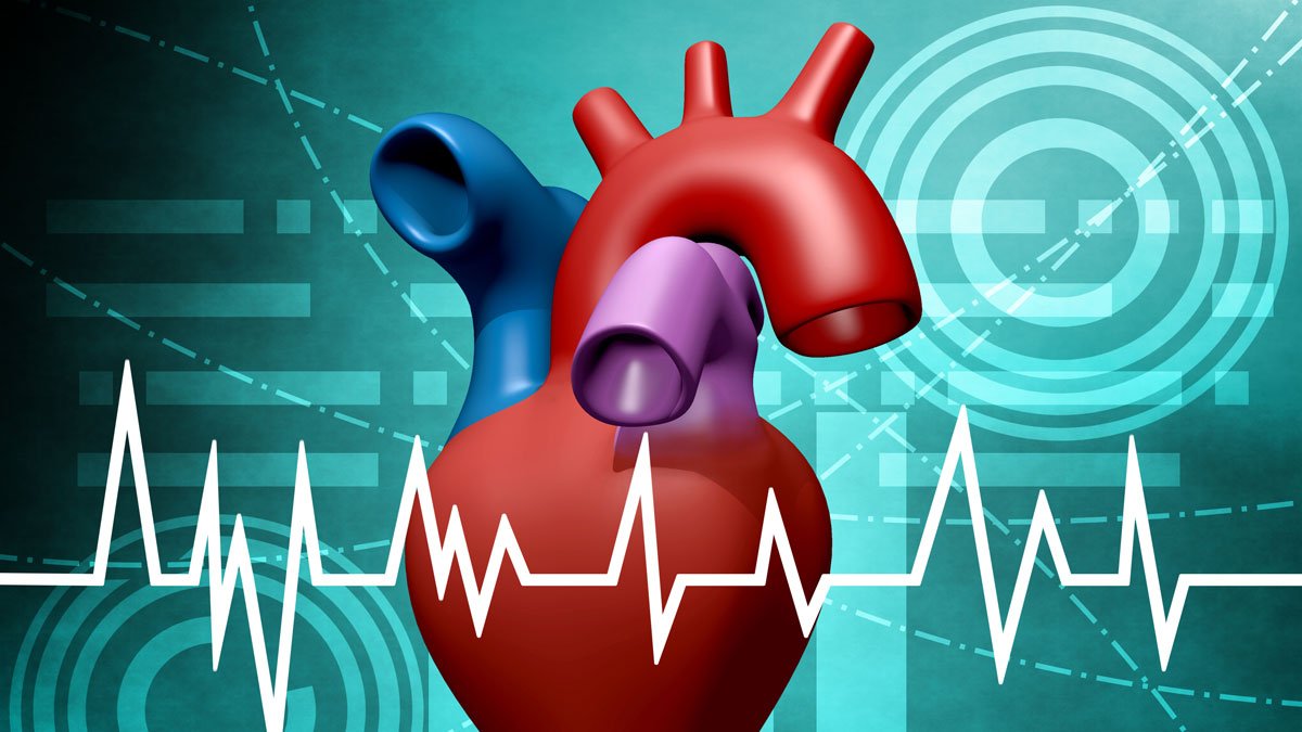 Illustration of a heart with heart beats data