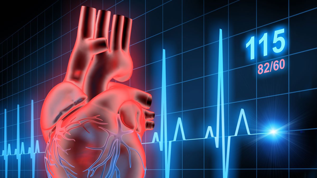 Illustration of a heart with heart beats data