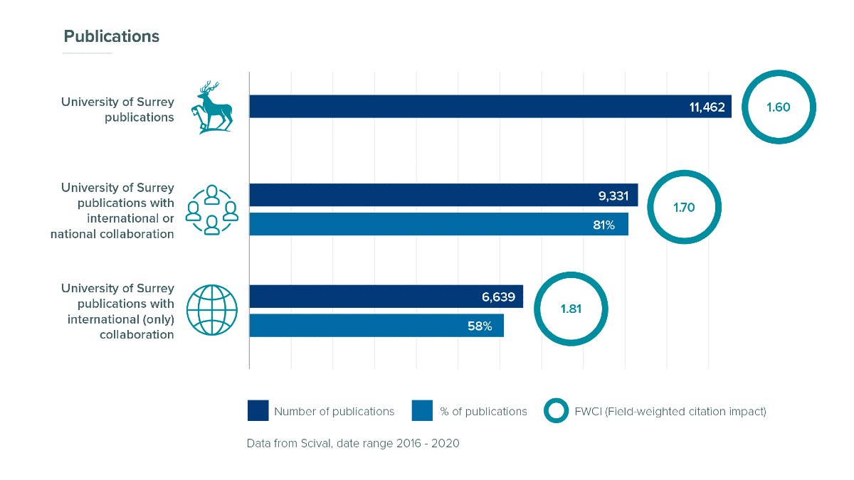 University of Surrey research publications