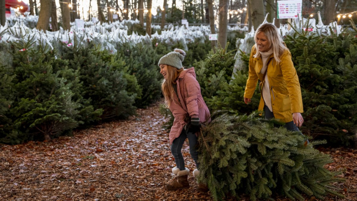 Mother and daughter choosing their Christmas tree