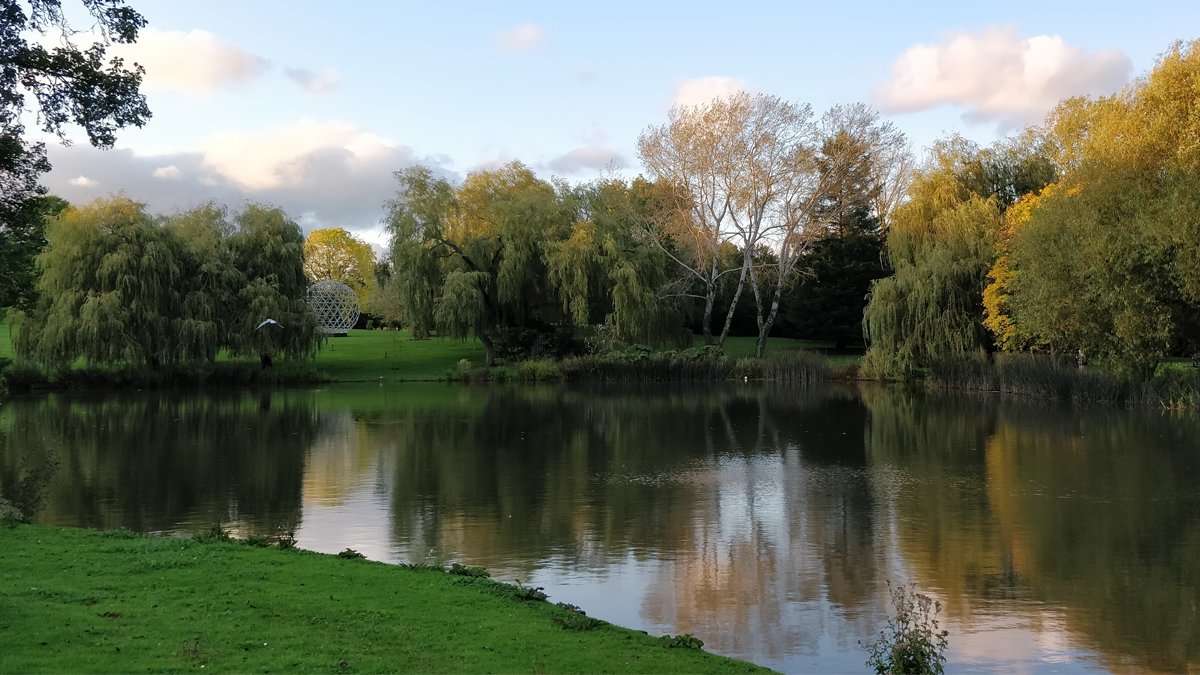 View of the lake on campus