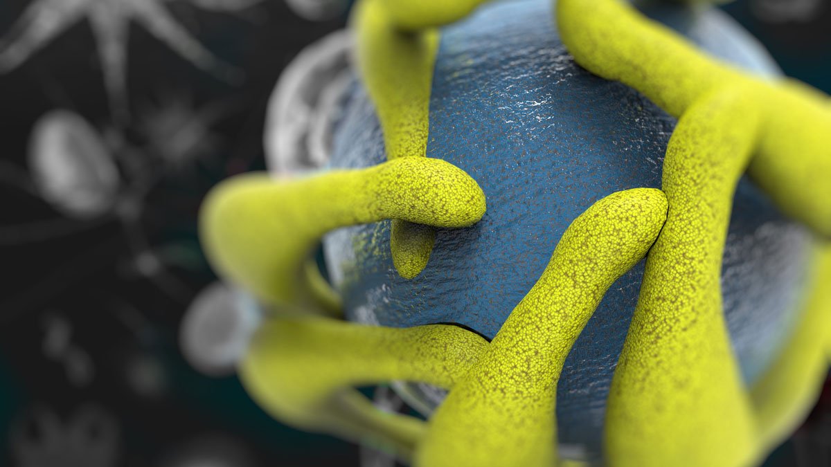 Close up of a nanofiber