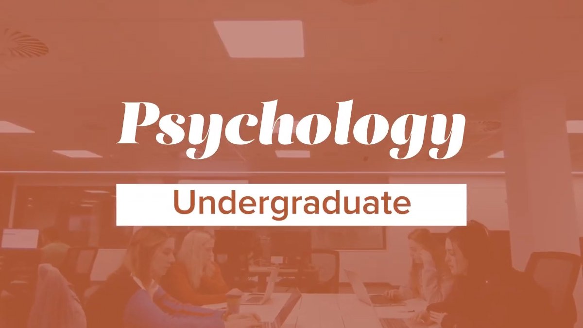 psychology undergraduate