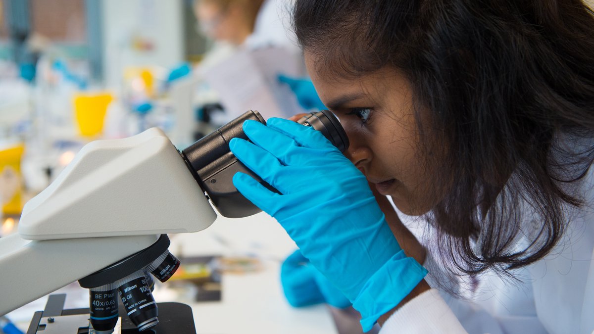 Student looking through a microscope