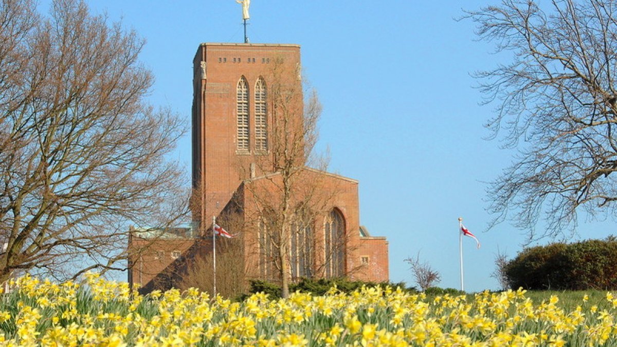 Guildford Cathedral with foreground daffodils
