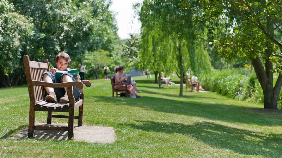 Student reading on bench in park