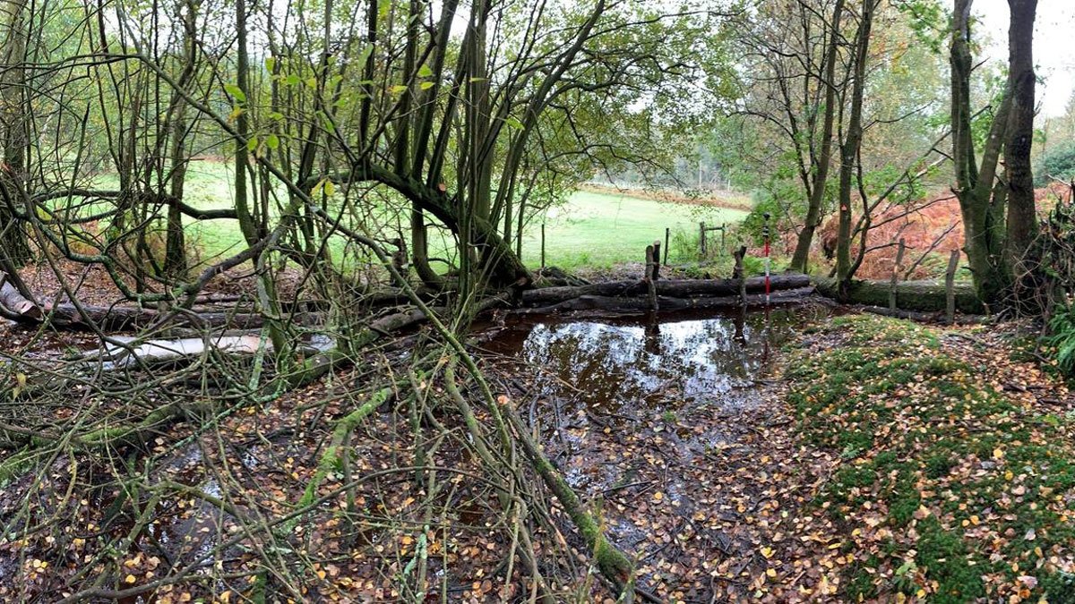 Dam leaking