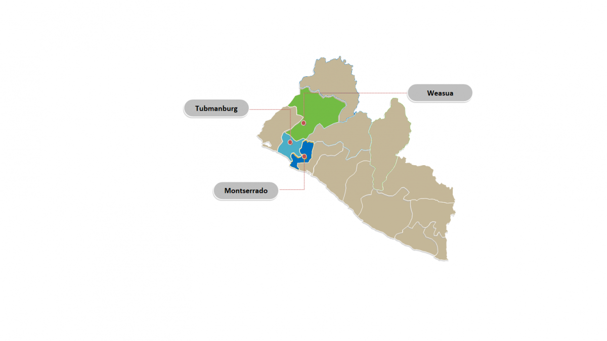 Map of Liberia, highlighting the regions of Weasua in the north-east, Tubmanburg to the south-west and Montserrado to the south-east of Tubmanberg