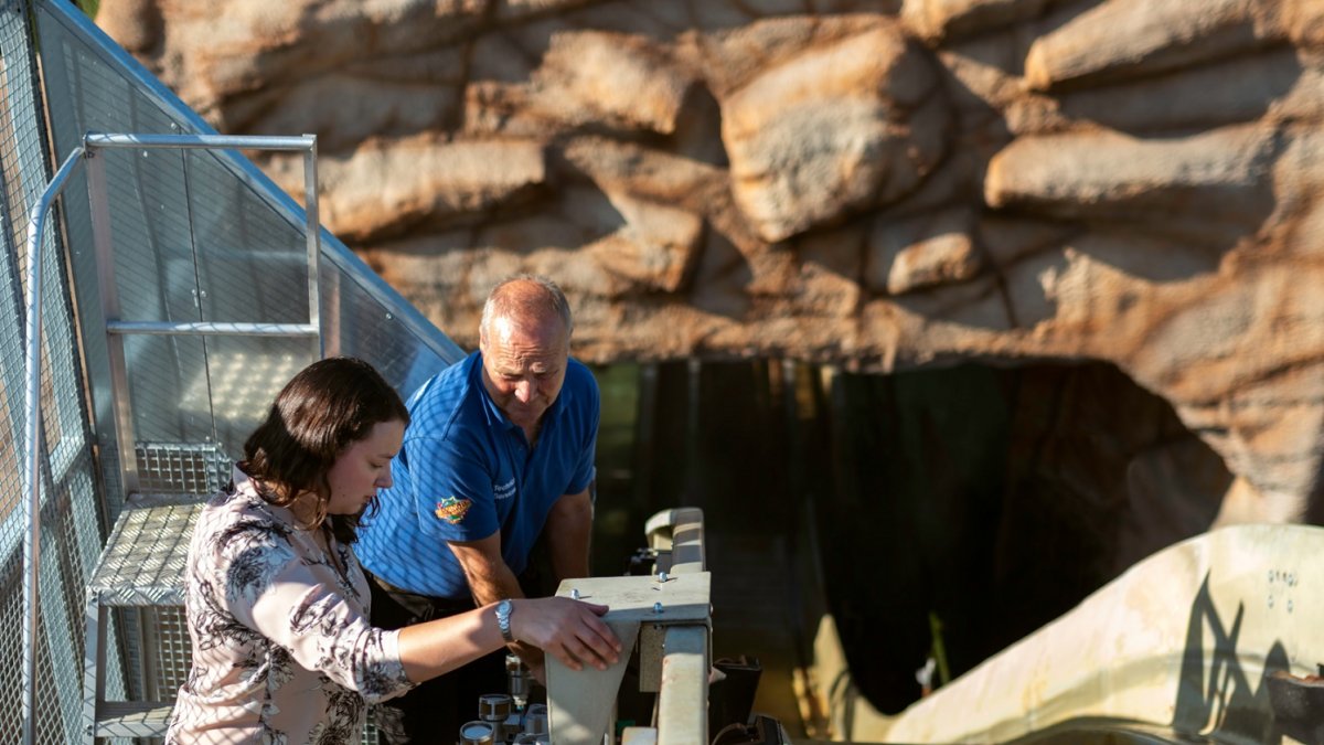 Michelle working on the Land of the Tiger attraction.