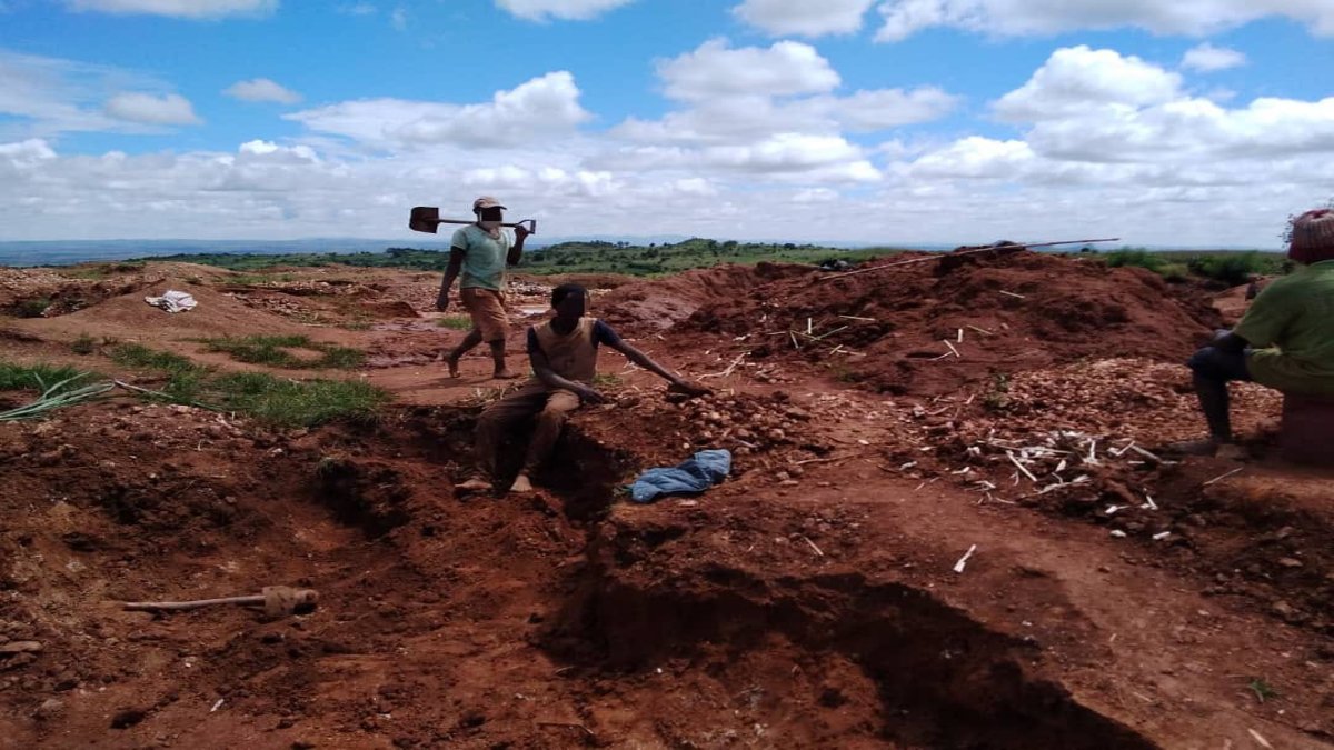 Group of men digging in the mud