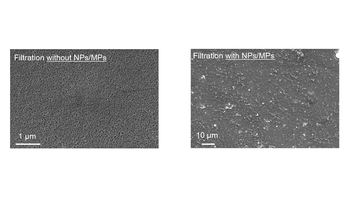 Images of membrane fouling by nano/microplastics from facial scrub