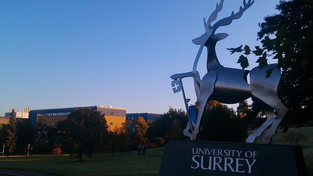 A statue of a stag on the University campus