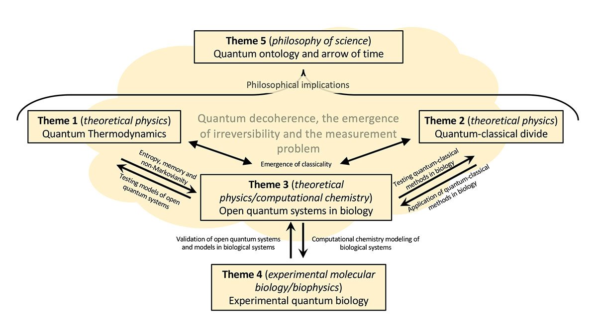 Infographic showing the interconnectedness between the five themes and how they feed into each other. In addition, theme 5 (philosophy) oversees the physics themes, while themes 1,2,3 and 5 all address the common foundational issues of decoherence and irreversibility