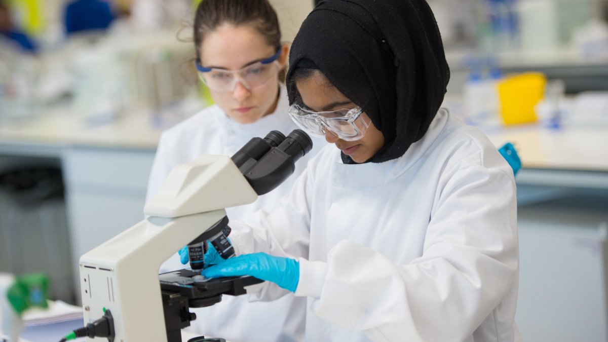 Students studying in a lab
