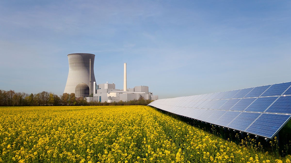 Chemical process engineering plant with solar panels in a field of yellow flowers