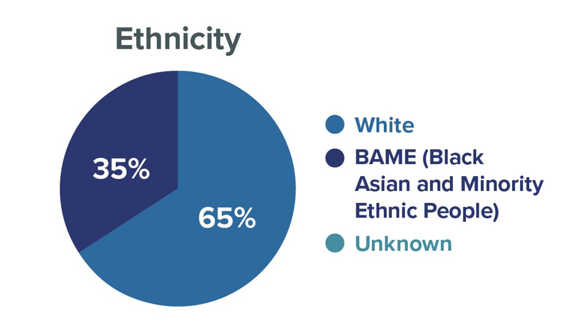 Researcher ethnicity at University of Surrey