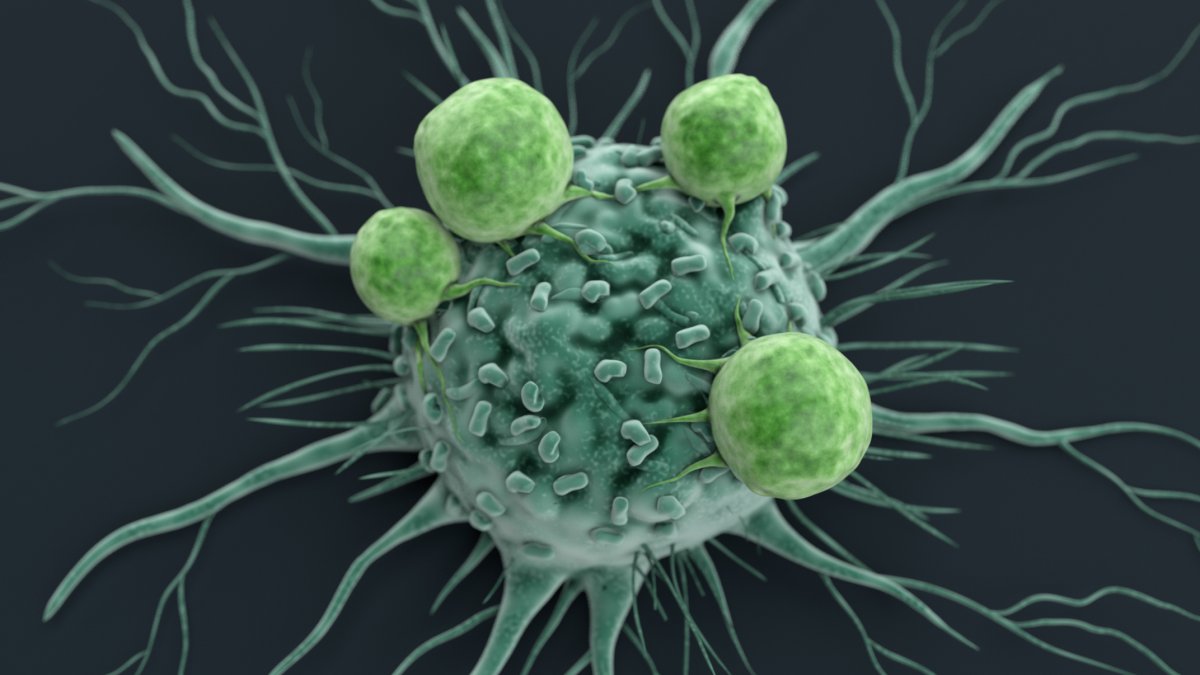 Cancer cell