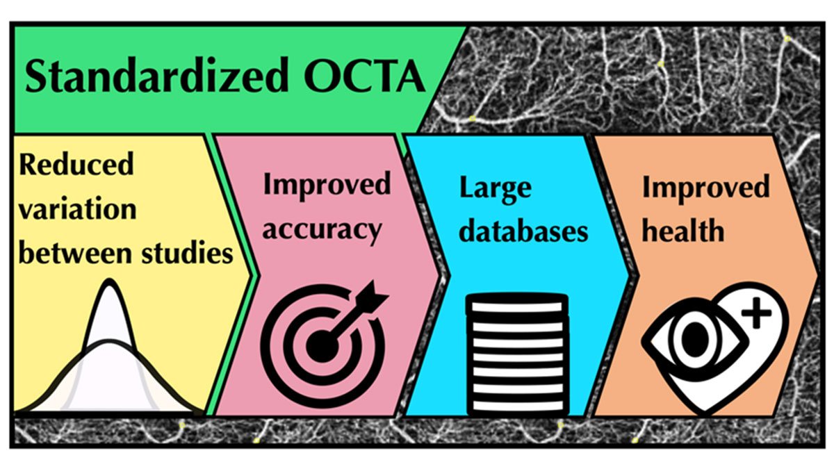 Standardised OCTA infographic