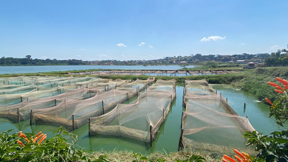 Aquatic health facility in Uganda 