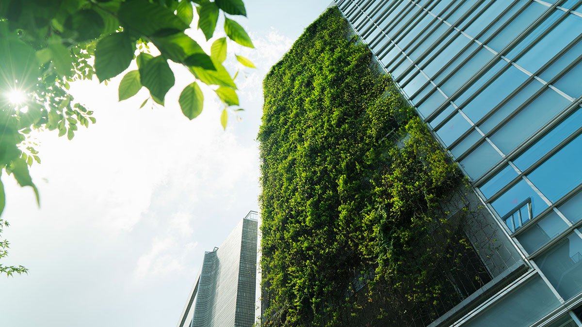 Plants on side of building