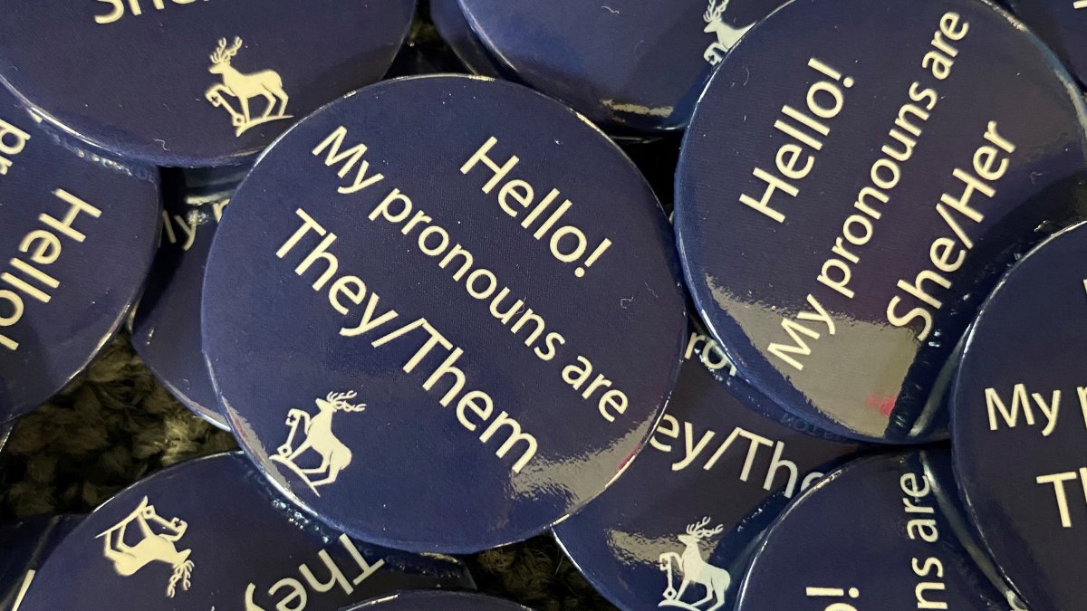 Pronoun badges in blue